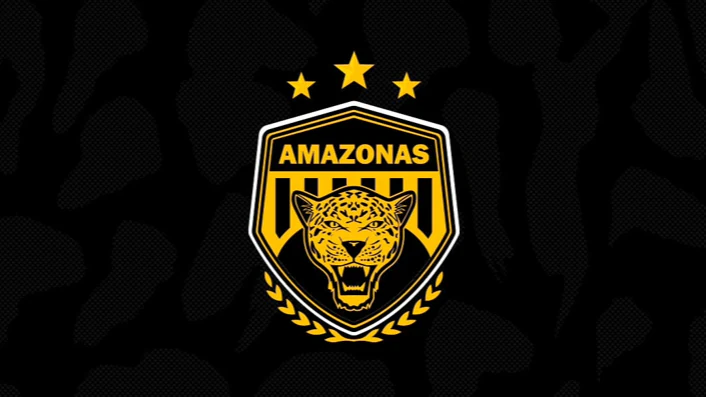 Амазонс