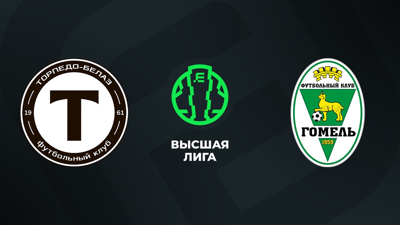 «Торпедо-БелАЗ» — «Гомель»