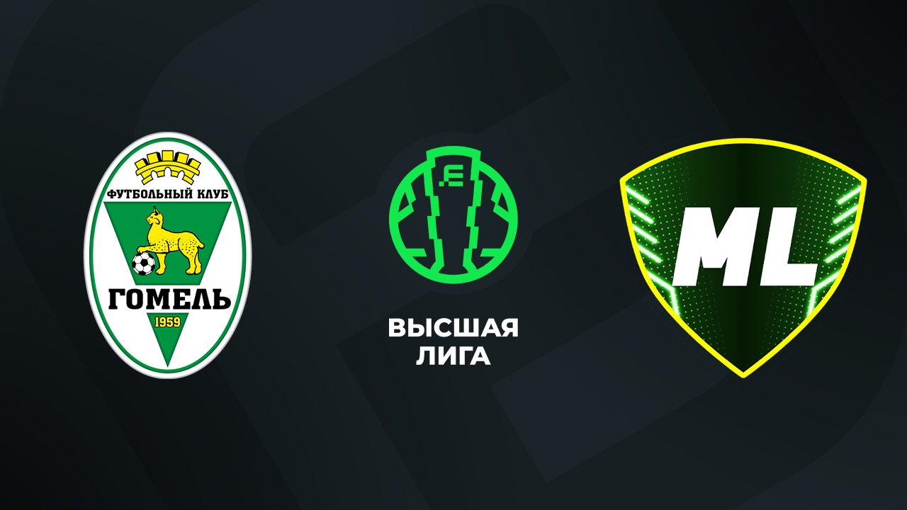 «Гомель» — «МЛ Витебск» 11 октября. Обзор матча