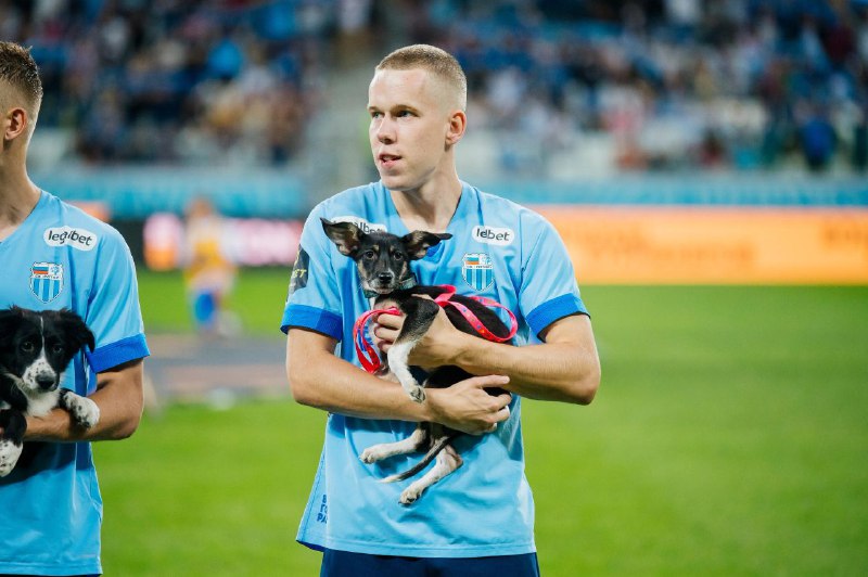 Дмитрий Прищепа, Ротор