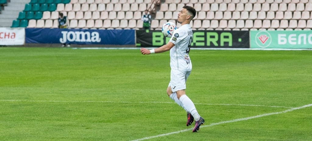 Александр Ануфриев, «Гомель»