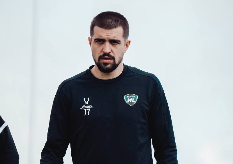 Александар Месарович