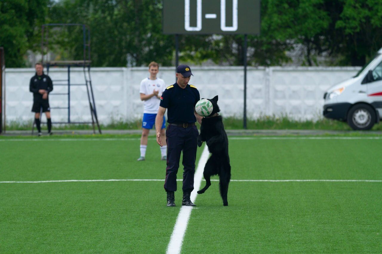 Собака Оллард