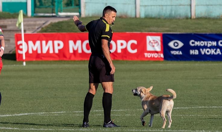 Дмитрий Марков