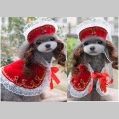 Основное изображение
